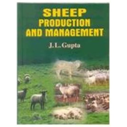 Sheep Production And Management (Hb 2006) 