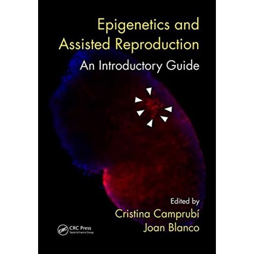 Epigenetics And Assisted Reproduction An Intr...