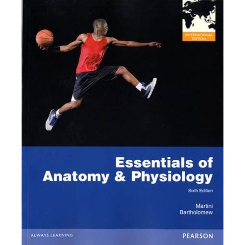 Essentials Of Anatomy & Physiology 6Ed (Pb) 