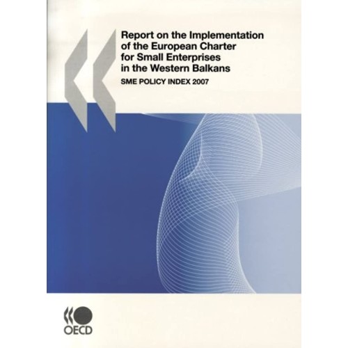 Report On The Implementation Of The European ...