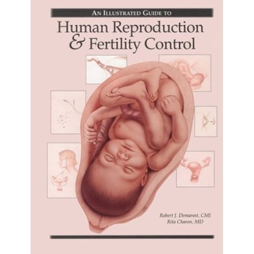 An Illustrated Guide To Human Reproduction An...