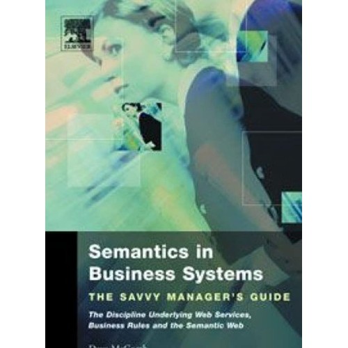 Semantics In Business Systems 