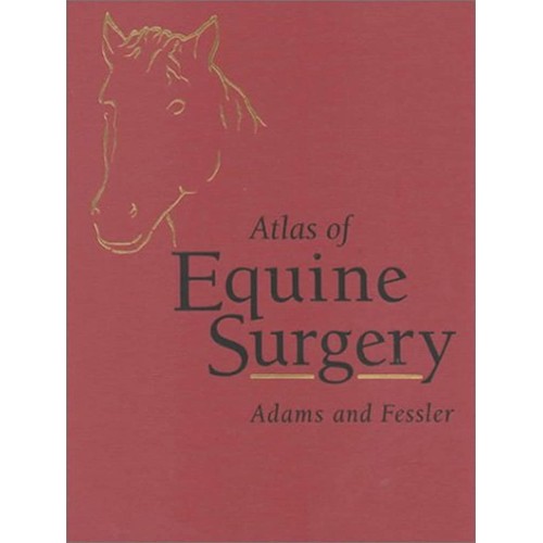 Atlas Of Equine Surgery 