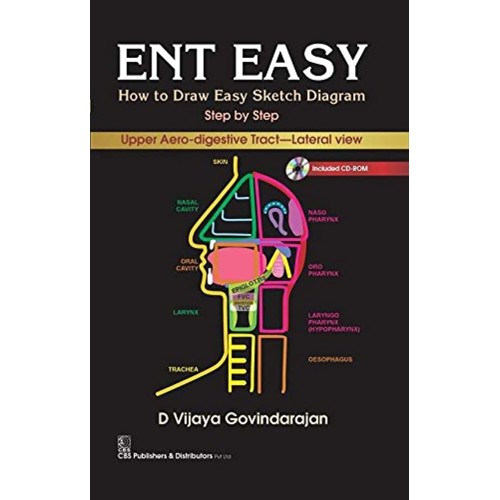 Ent Easy How To Draw Easy Sketch Diagram Step...