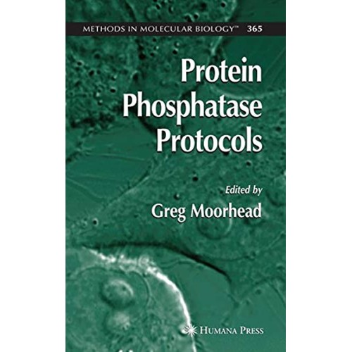 Protein Phosphatase Protocols (Hb) 