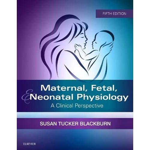 Maternal Fetal And Neonatal Physiology A Clin...