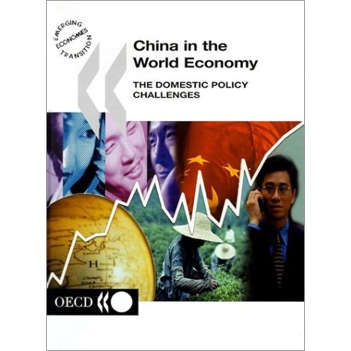 China In The World Economy - The Domestic Cha...