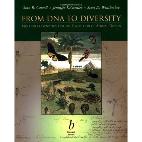 From Dna To Diversity (Pb 2000) 