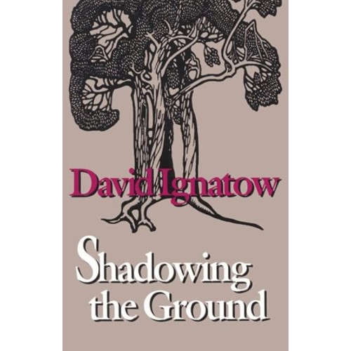 Shadowing The Ground 