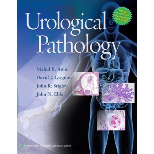 Urological Pathology  (Hb 2014) 