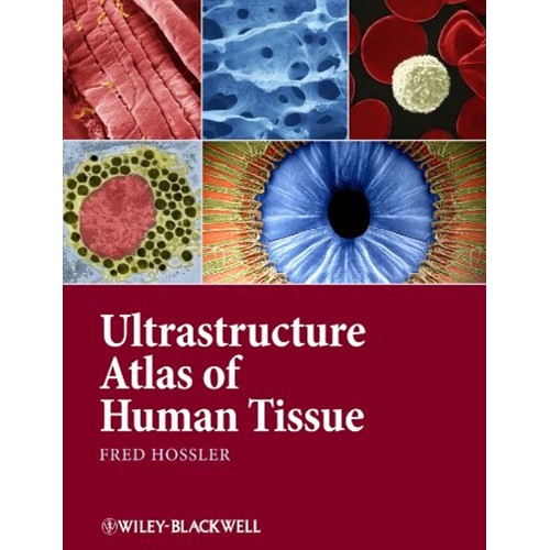 Ultrastructure Atlas Of Human Tissues (Hb 201...