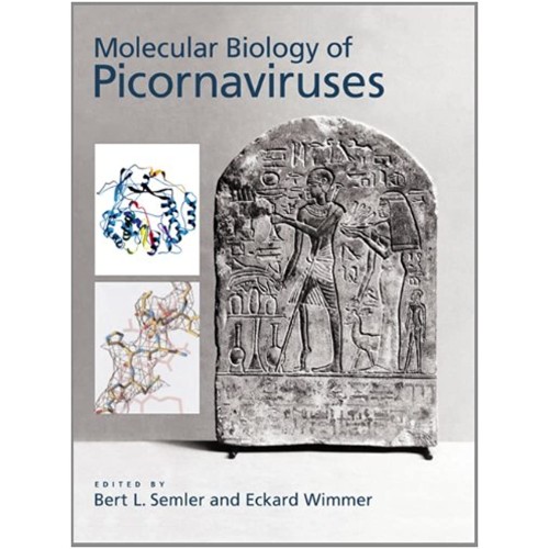 Molecular Biology Of Picornaviruses (Hb) 