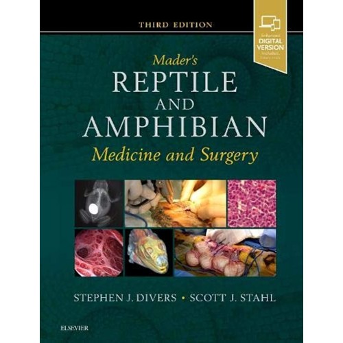 Maders Reptile And Amphibian Medicine And Sur...