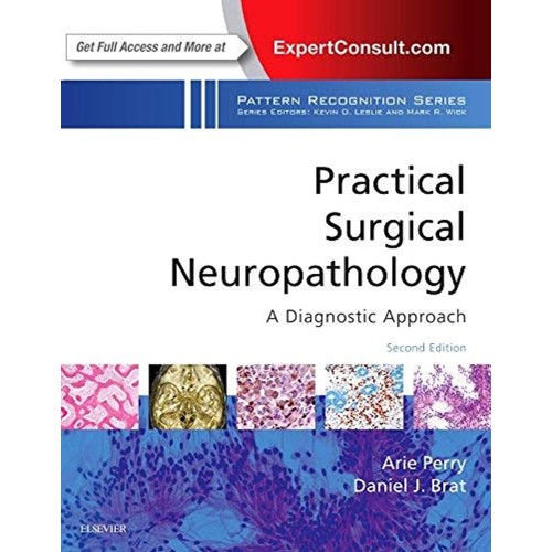 Practical Surgical Neuropathology A Diagnosti...