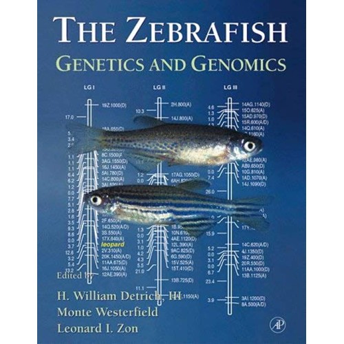 The Zebrafish : Genetics And Genomics 