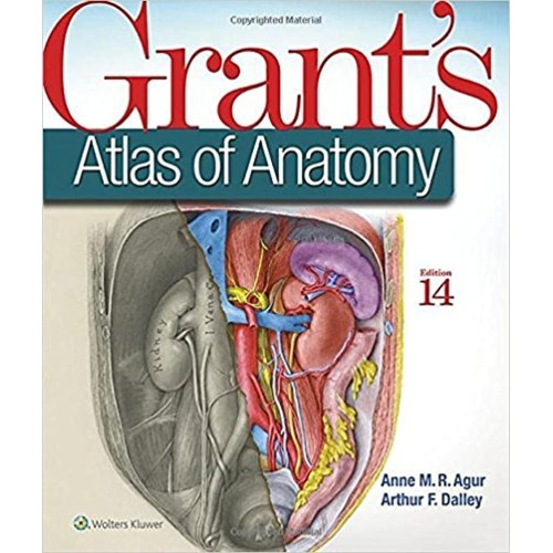 Grants Atlas Of Anatomy 14Ed South Asia Editi...