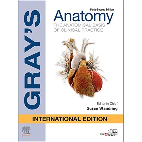 Grays Anatomy The Anatomical Basis Of Clinica...