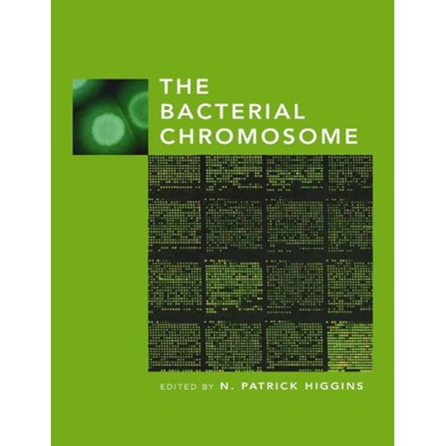 The Bacterial Chromosome (Hb) 