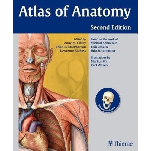 Atlas Of Anatomy (Ie) 