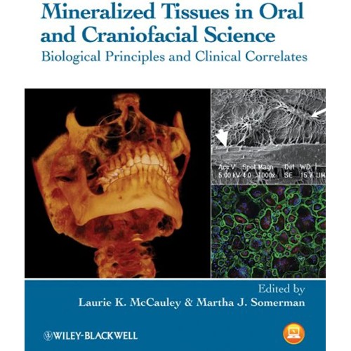 Mineralized Tissues In Oral And Craniofacial ...