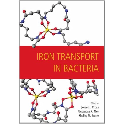 Iron Transport In Bacteria (Hb) 