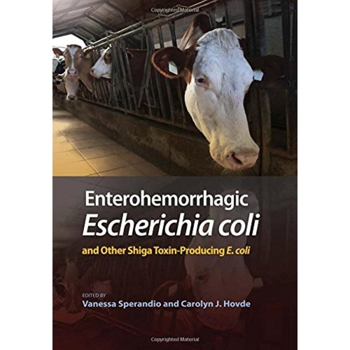 Enterohemorrhagic Escherichia Coli And Other ...