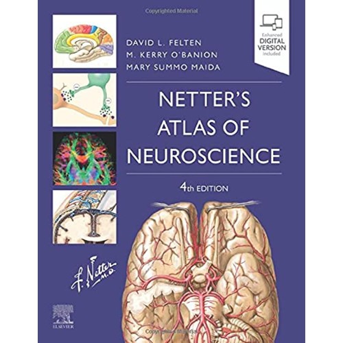 Netters Atlas Of Neuroscience 4Ed (Pb 2022)