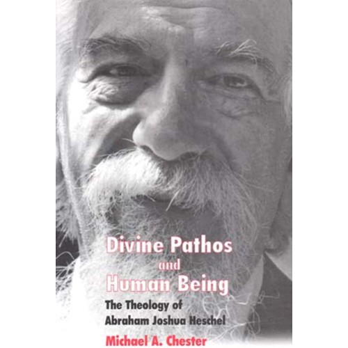 Divine Pathos And Human Being The Theology Of...