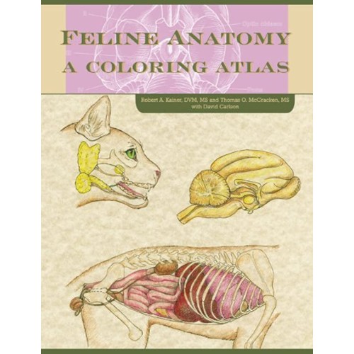 Feline Anatomy A Coloring Atlas (Pb 2013) 