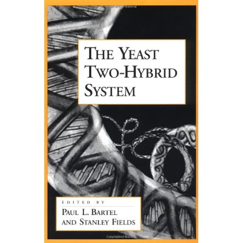 The Yeast Two-Hybrid System 