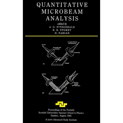 Quantitative Microbeam Analysis 