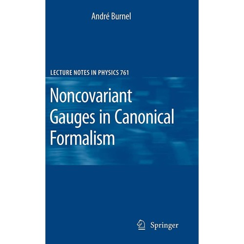 Noncovariant Gauges In Canonical Formalism (H...