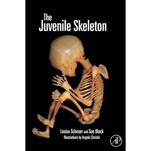 The Juvenile Skeleton (Hb 2004)