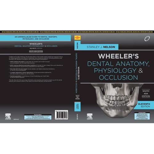 Wheelers Dental Anatomy Physiology And Occlus...