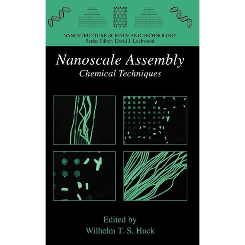 Nanoscale Assembly : Chemical Techniques 