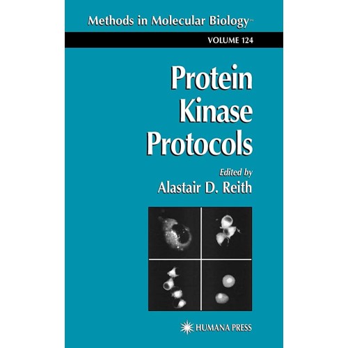 Protein Kinase Protocols (Hb) 