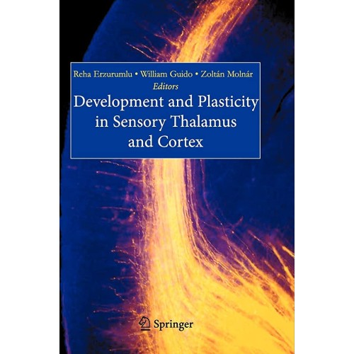 Development And Plasticity In Sensory Thalamu...