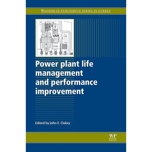 Power Plant Life Management & Performance Imp...