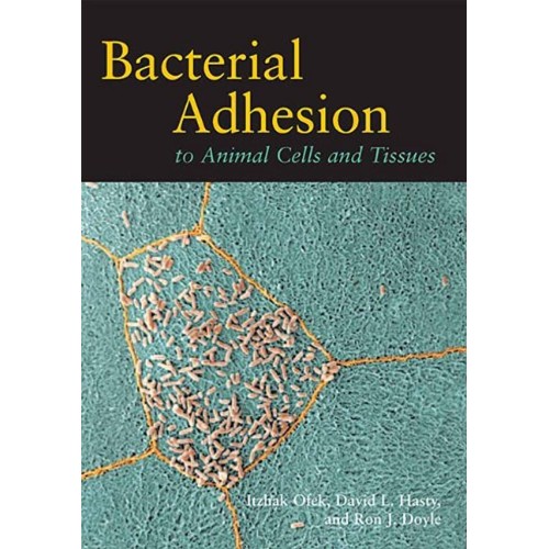 Bacterial Adhesion To Animal Cells And Tissue...