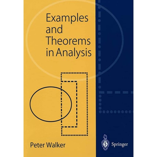 Examples And Theorems In Analysis (Pb 2004)