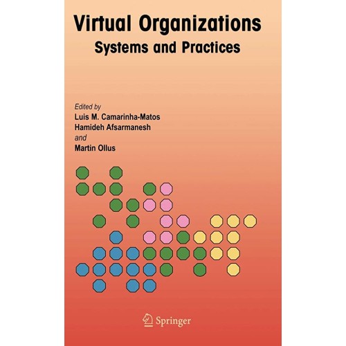 Virtual Organizations (Hb) 