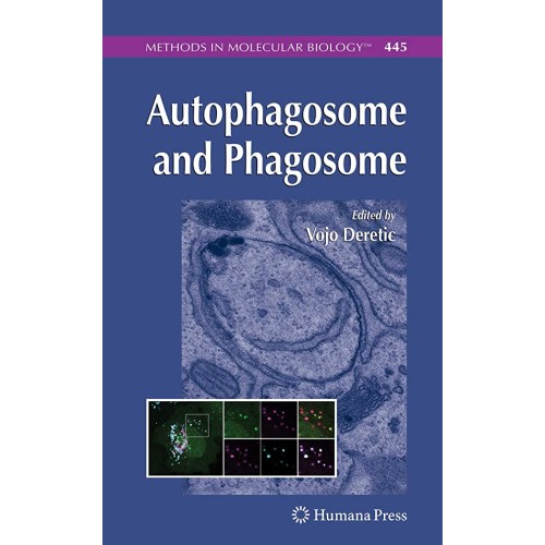 Autophagosome And Phagosome 