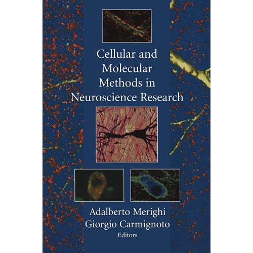 Cellular And Molecular Methods In Neuroscienc...