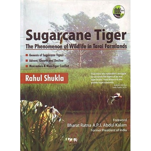 Sugarcane Tiger: The Phenomeon Of Wildlife In...