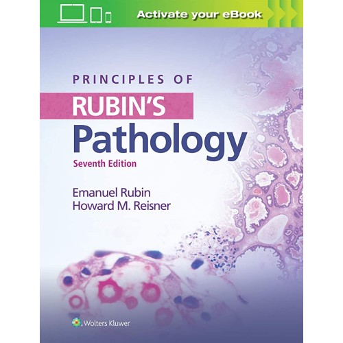 Principles Of Rubins Pathology 7Ed (Pb 2019) 