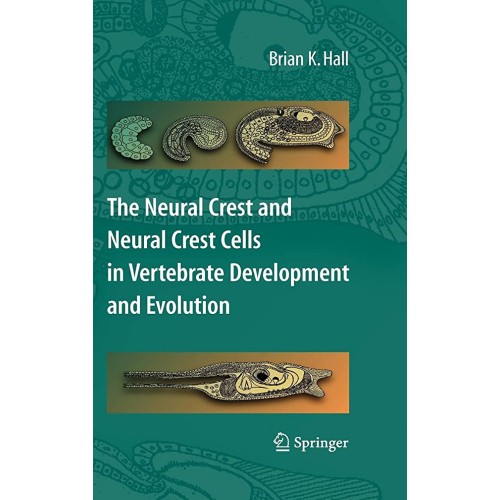 The Neural Crest And Neural Crest Cells In Ve...