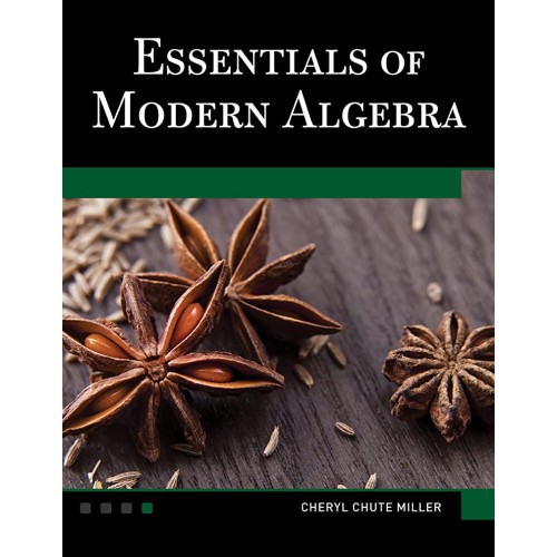 Essentials Of Modern Algebra (Hb 2013) 