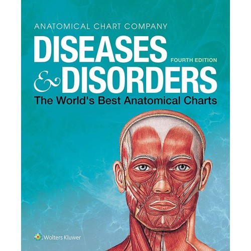 Diseases And Disorders The World Best Anatomi...