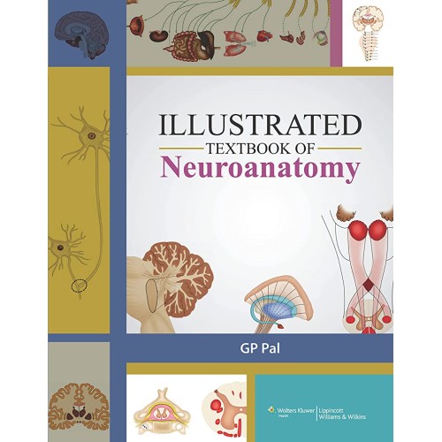 Illustrated Textbook Of Neuroanatomy With Acc...