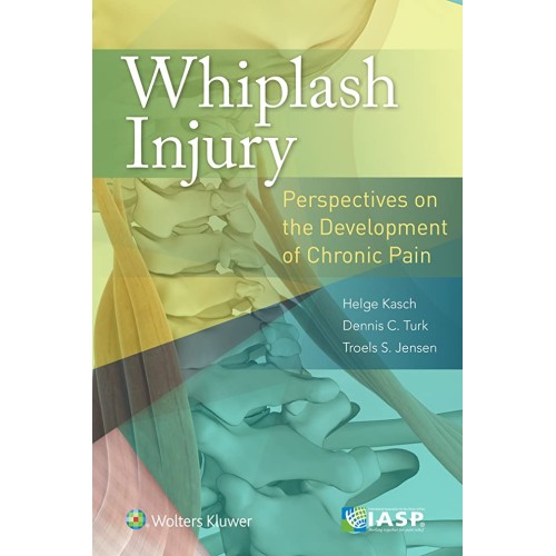 Whiplash Injury Perspectives On The Developme...